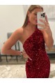 Pink Sheath One Shoulder Sleeveless Long Sweep Train Velvet Sequin Prom Dress Canada